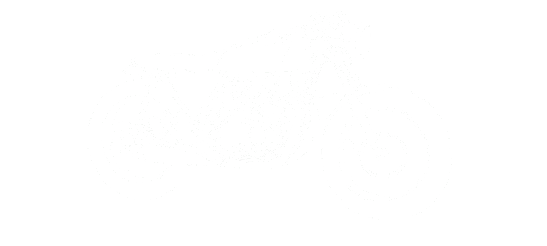 1981 Kz440 tracing
