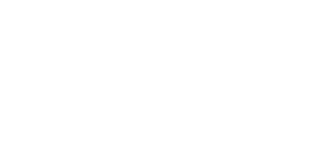 The Bikes